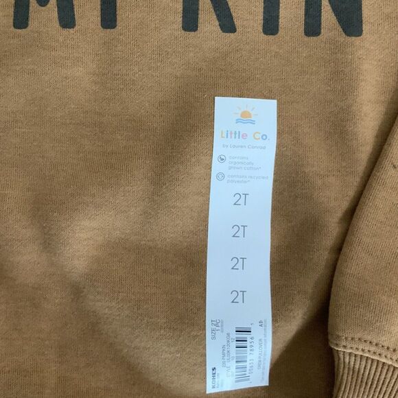 NWT!! Pumpkin Lightweight Sweatshirt Orange/Brown 2T - Picture 2 of 4